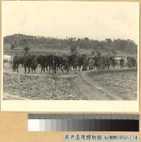 藏品(夜襲敵騎四十餘匹)的圖片